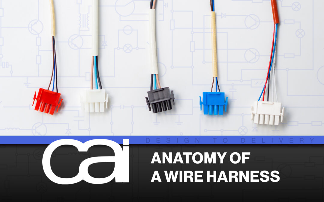 Anatomy of a Wire Harness