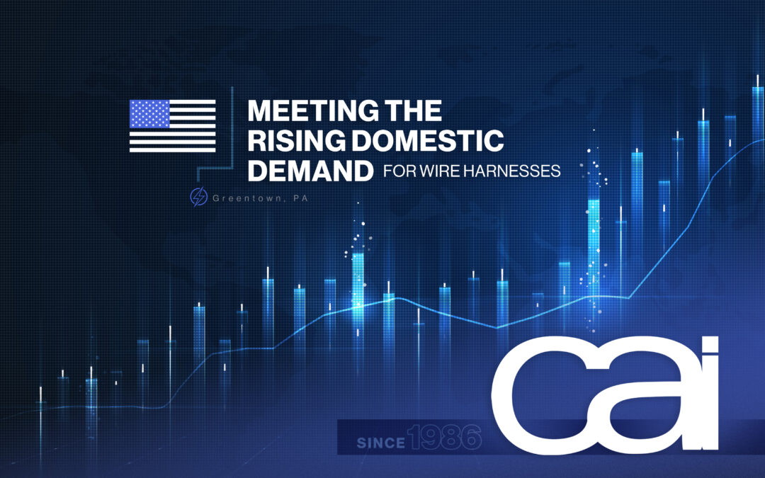 Meeting the Rising Domestic Demand for Wire Harnesses